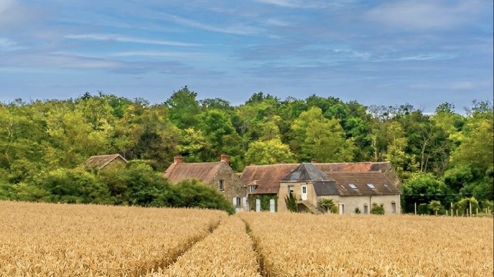 CHAMP GÎTES